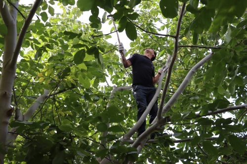 6376965440155314351249125