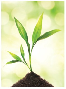 S20120302155857020002