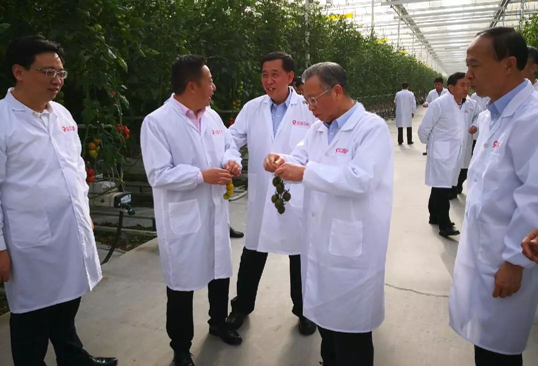 博天堂(918.com)官网-918博天堂,让你更杰出