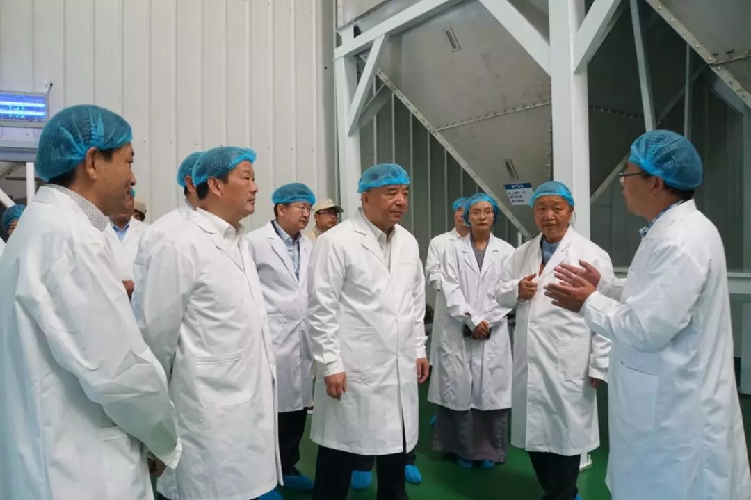 博天堂(918.com)官网-918博天堂,让你更杰出