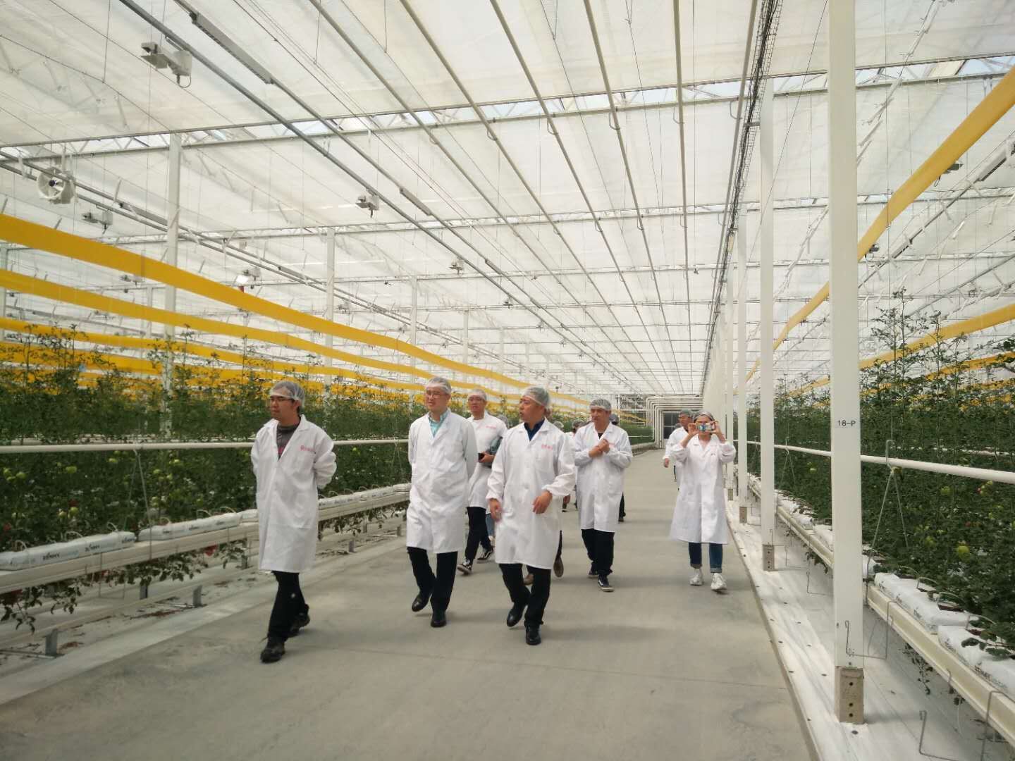 博天堂(918.com)官网-918博天堂,让你更杰出