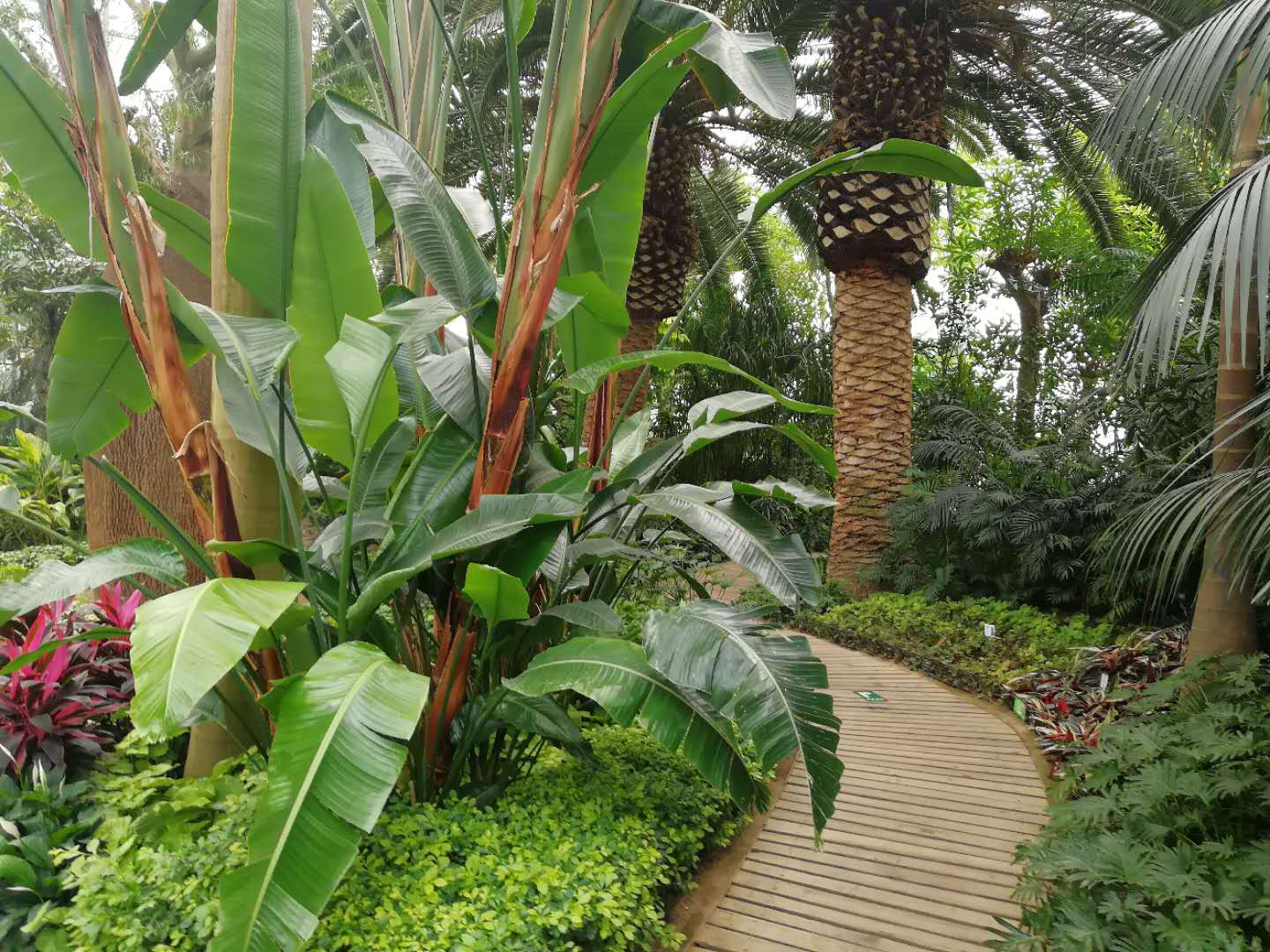 博天堂(918.com)官网-918博天堂,让你更杰出