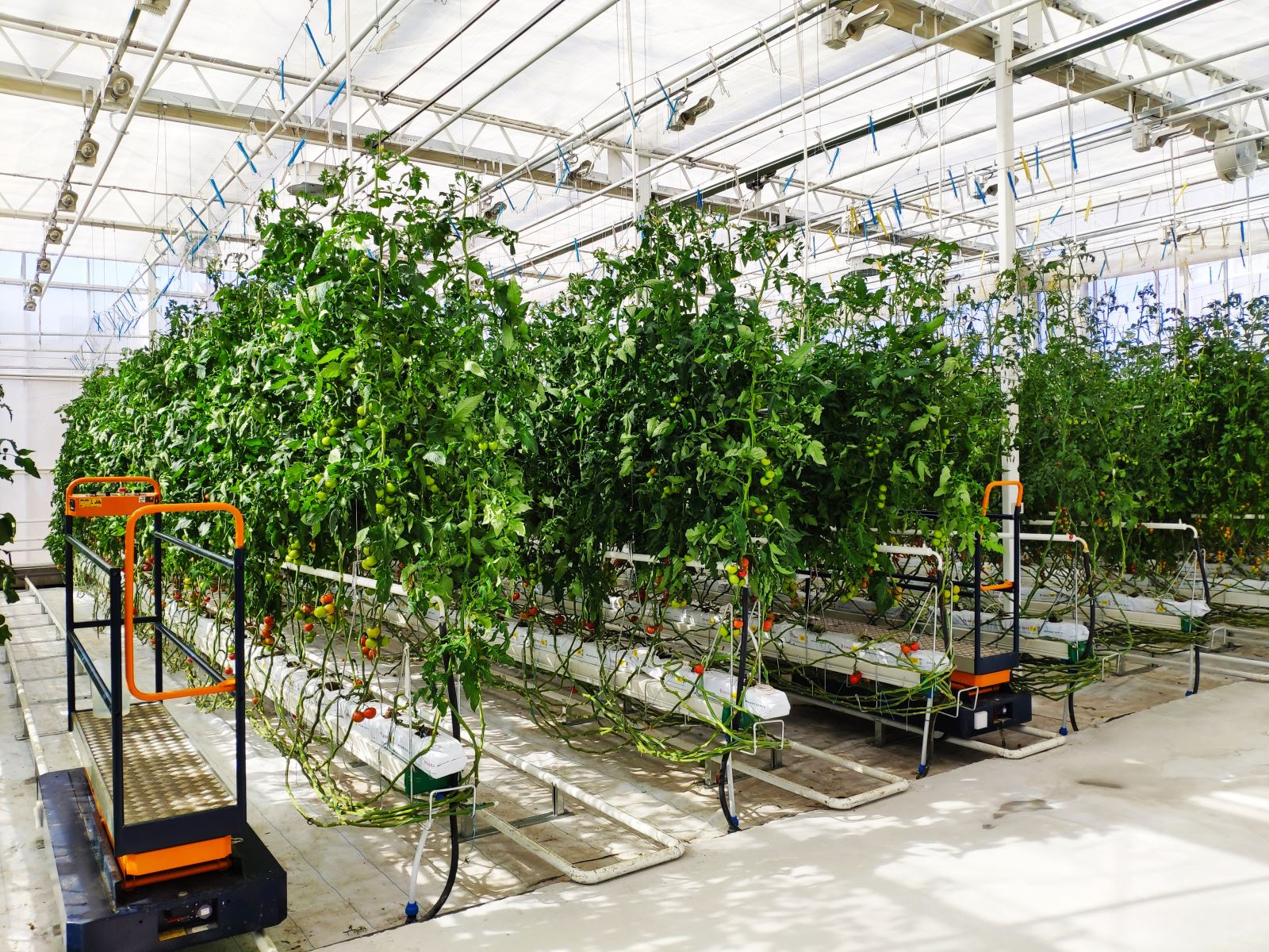 博天堂(918.com)官网-918博天堂,让你更杰出