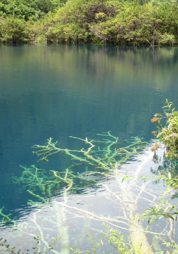 博天堂(918.com)官网-918博天堂,让你更杰出