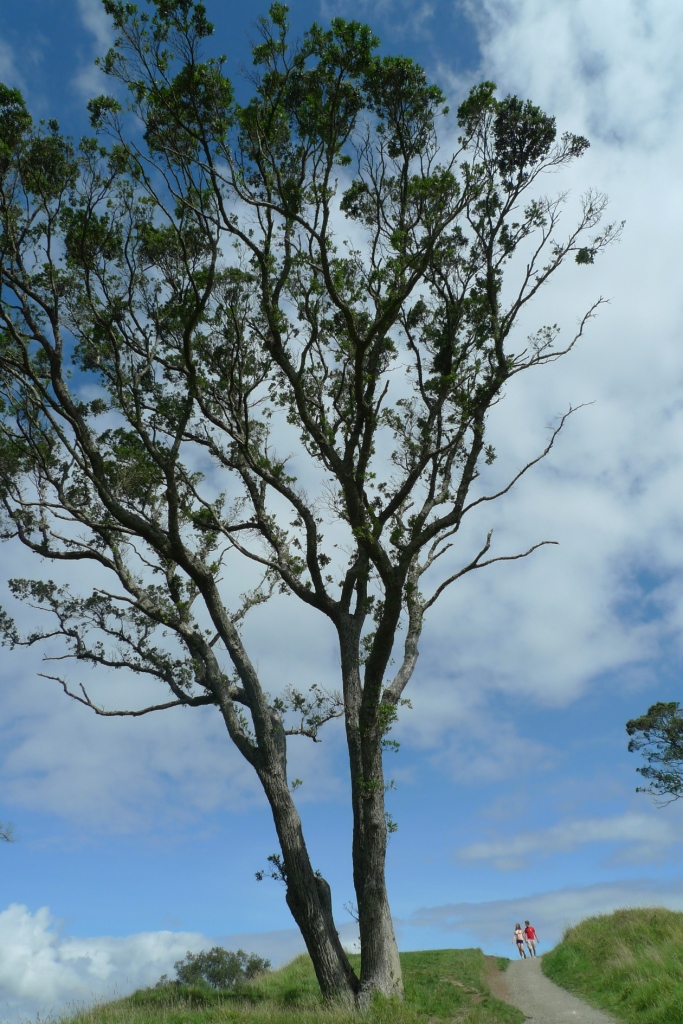 博天堂(918.com)官网-918博天堂,让你更杰出