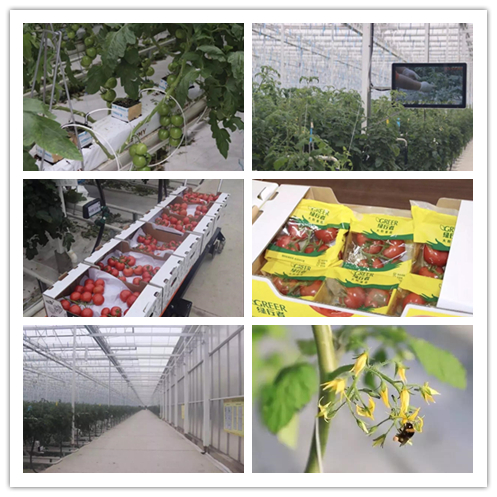 博天堂(918.com)官网-918博天堂,让你更杰出