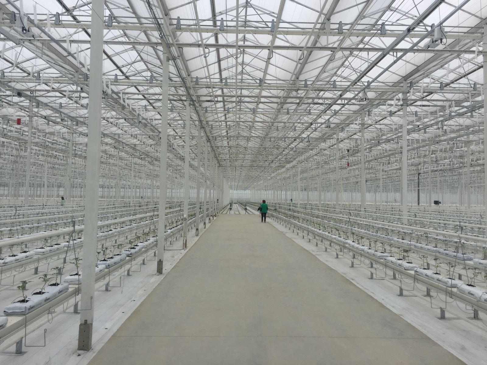 博天堂(918.com)官网-918博天堂,让你更杰出