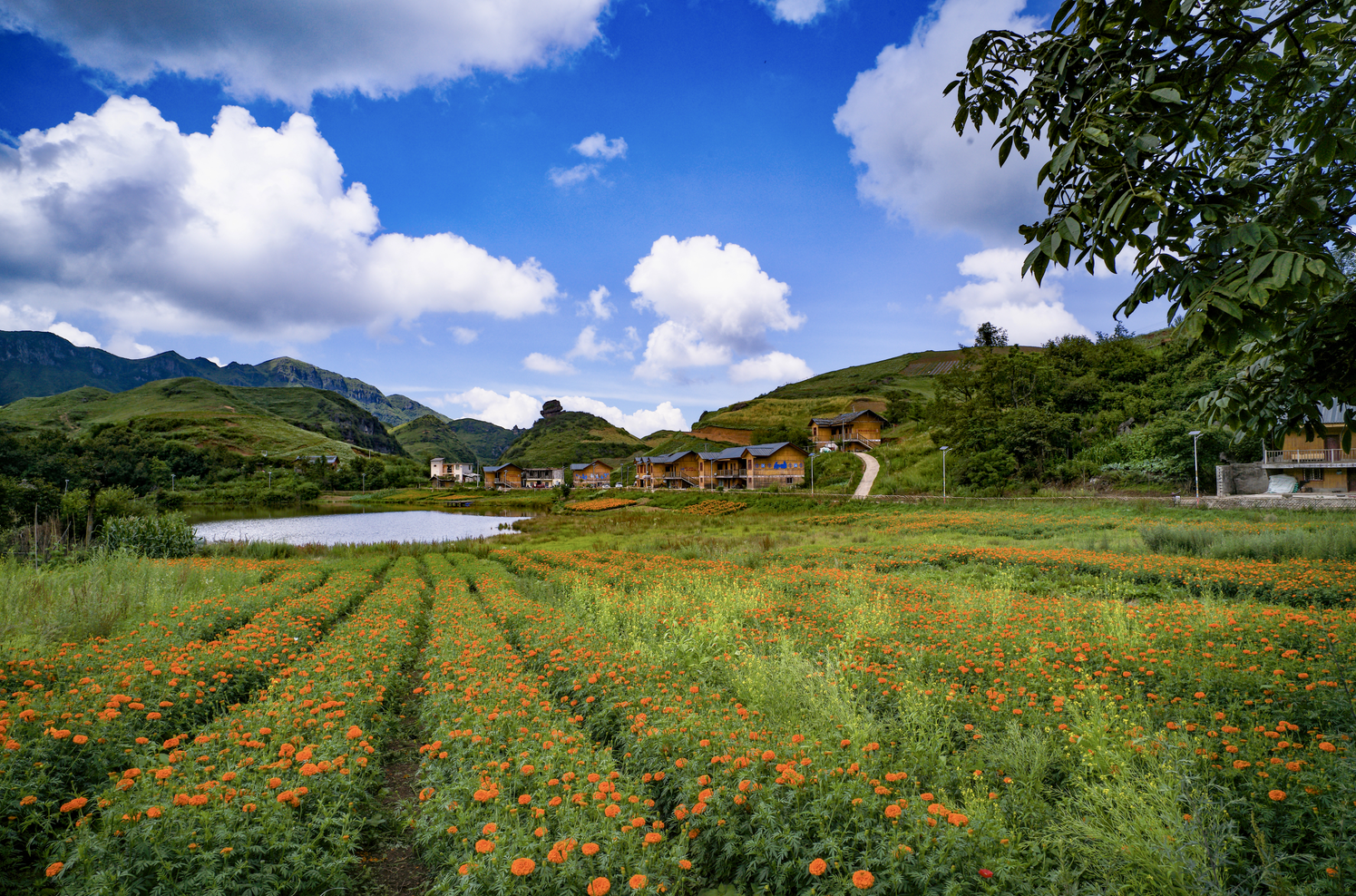 博天堂(918.com)官网-918博天堂,让你更杰出