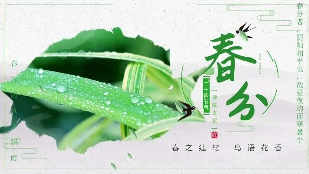 今日春分 | 春之建材，鸟语花香