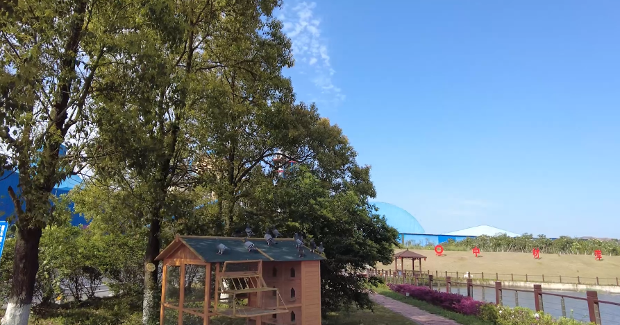 春来好时光，花圃工厂朝气勃勃