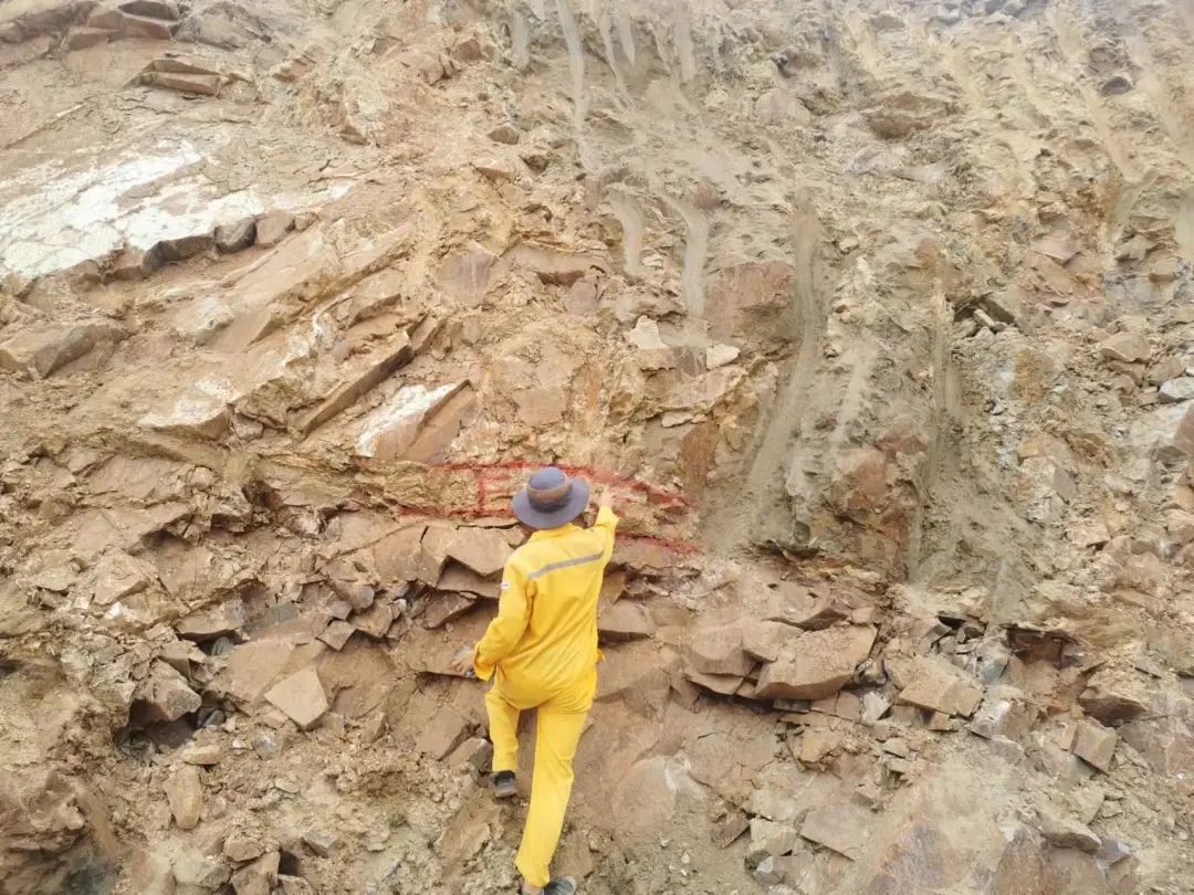 博天堂(918.com)官网-918博天堂,让你更杰出