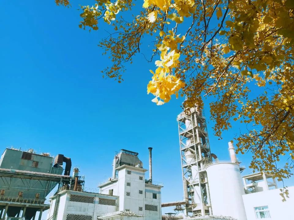 20201109094139421416