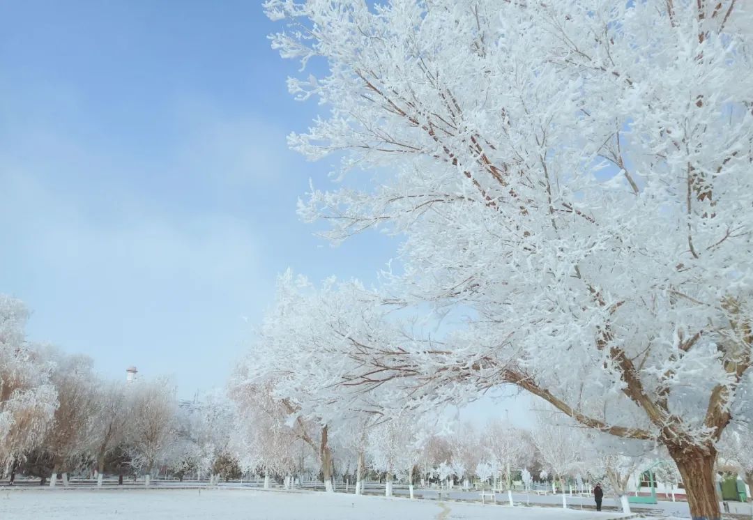 20210126100242198515