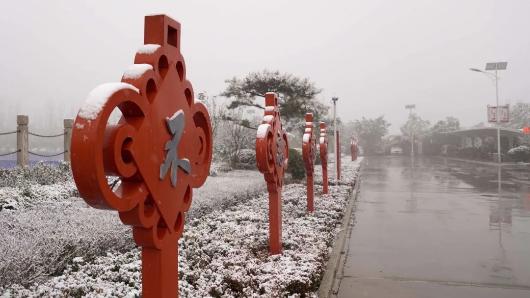 20210126100243540221