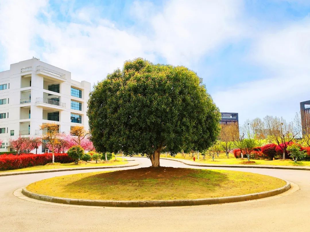 20210406105822878541