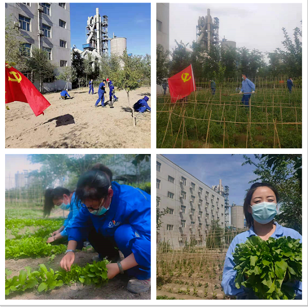 20210622085344631813