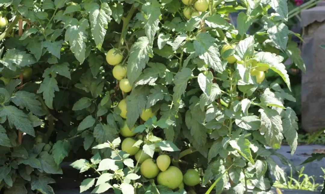 20210729114008875111