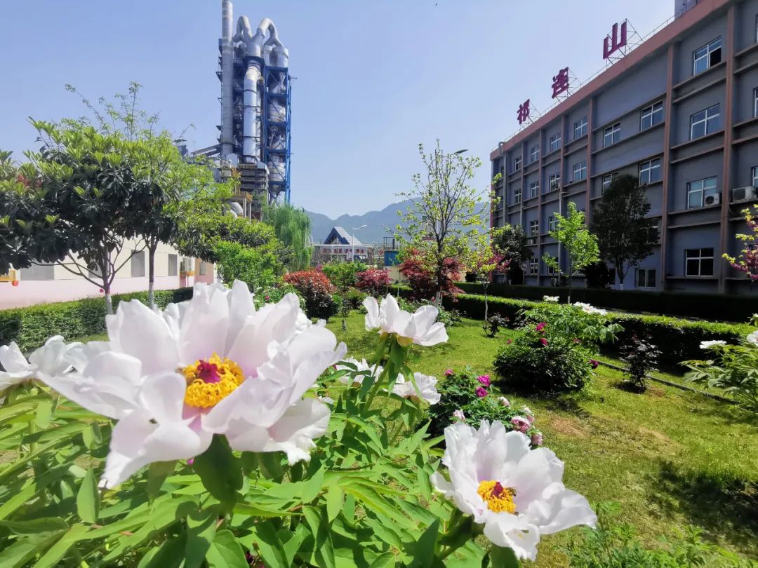 20210920103554052313