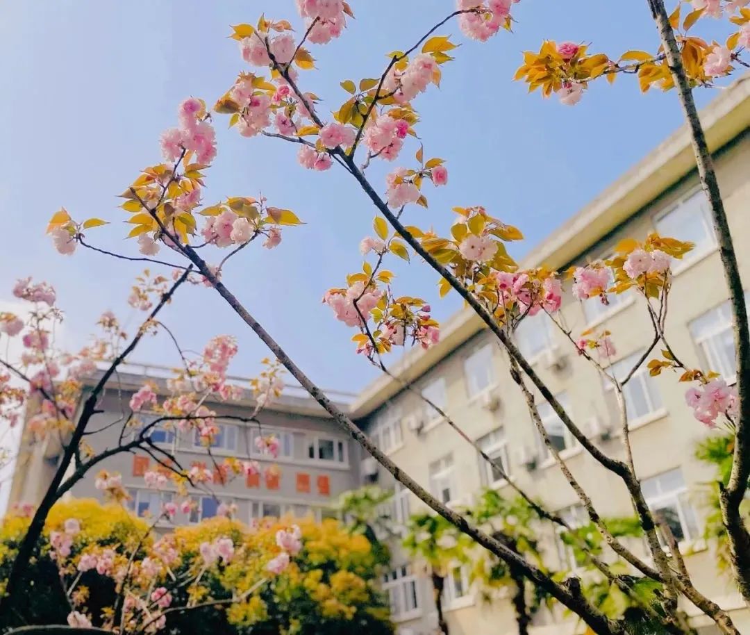 20220406161200941013