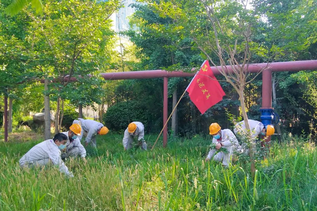 20220617093852954419