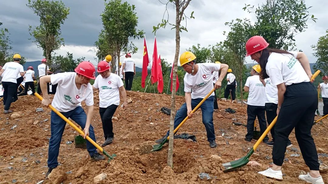 20220627094429598310