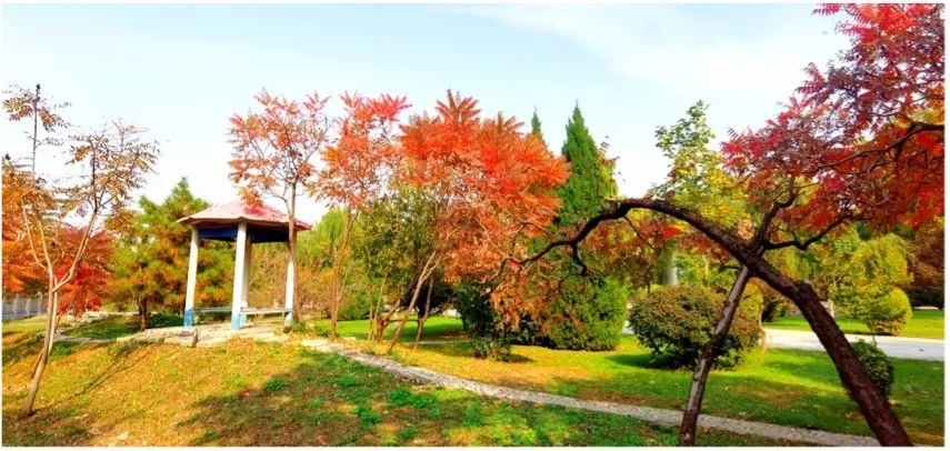 20221107103315601824