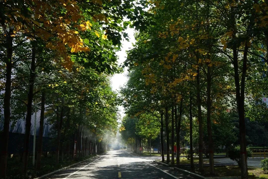 20221107103316336129