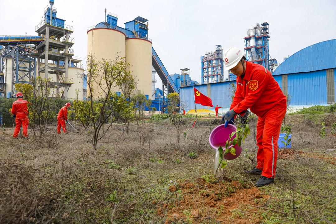 20230310110632600033