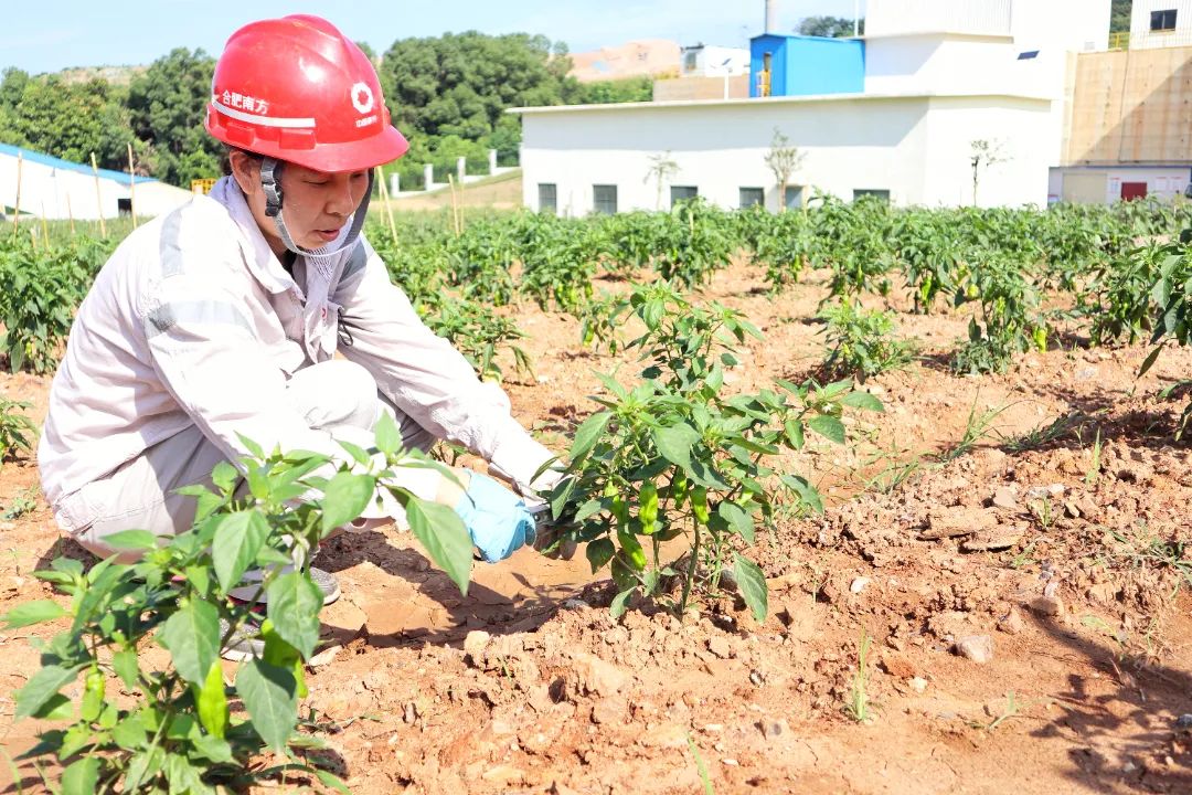 20230707172911560618