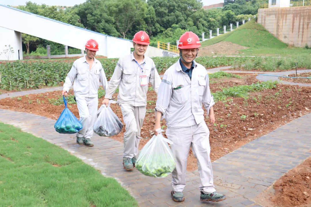 20230707172912375322