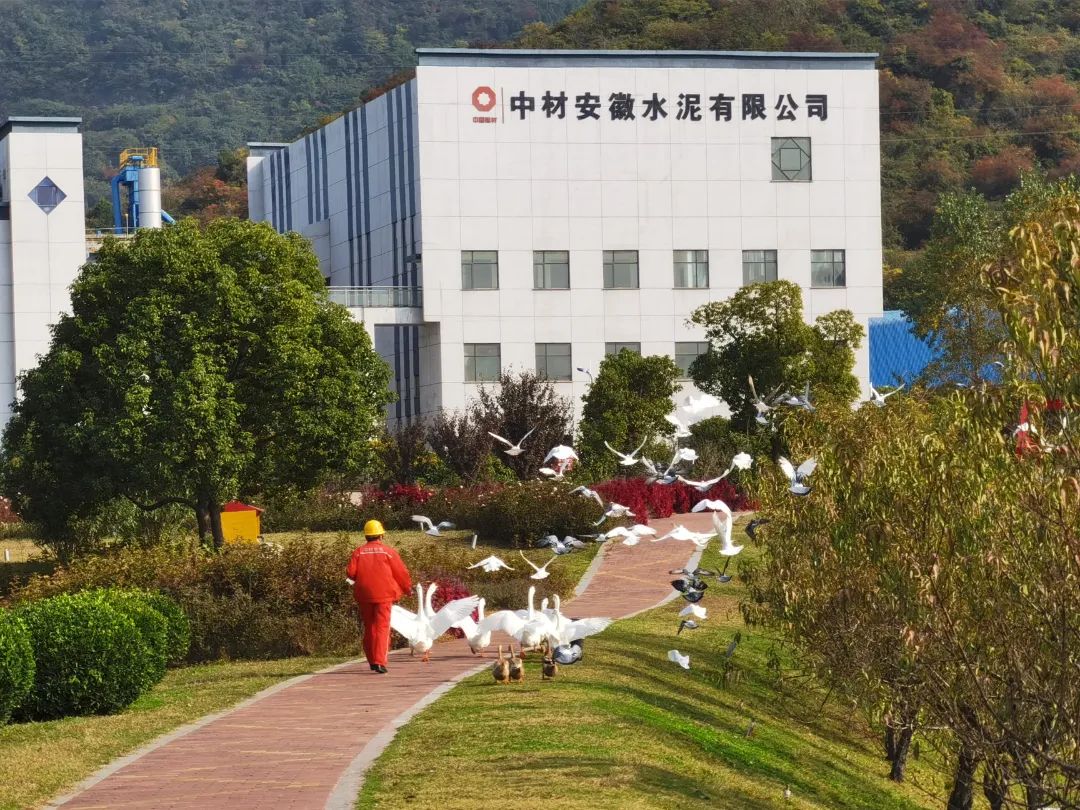 20230707172915605633