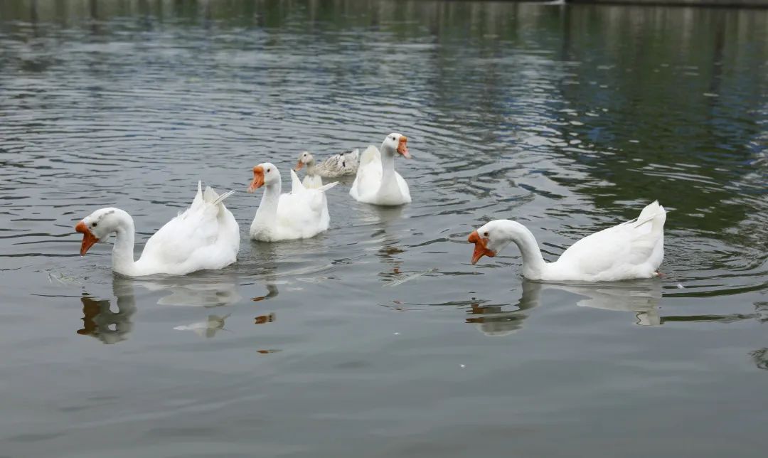 20230821094355161446