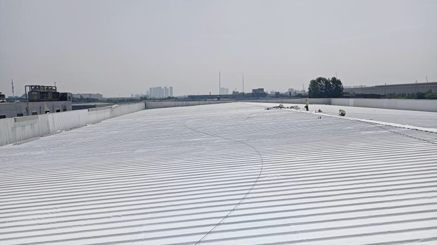 20240613100159798721