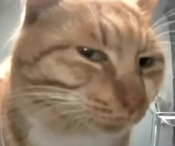 20240624094928385411