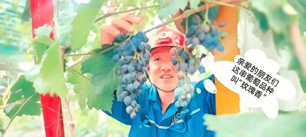 20241028114352019910