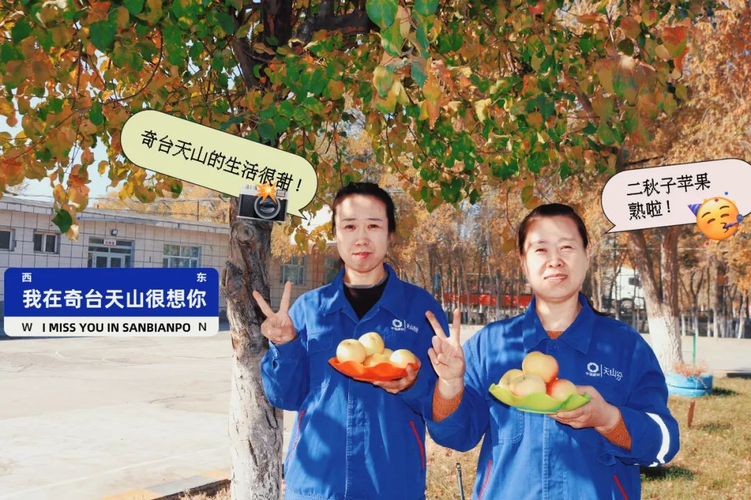 20241028114352682026