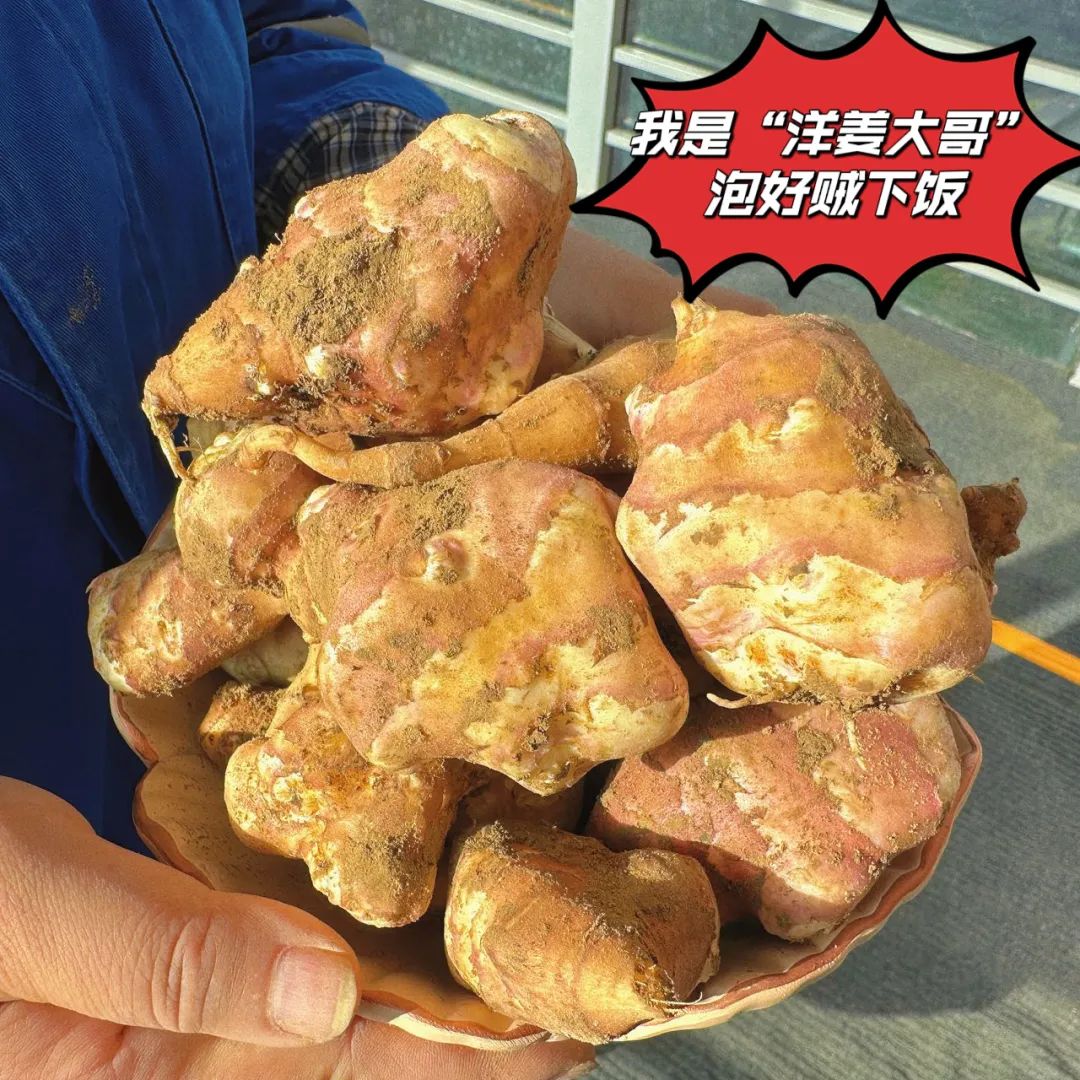 20241028114352996134