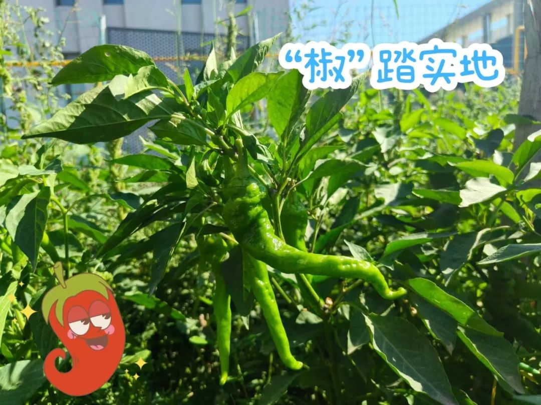 20241028114353202138