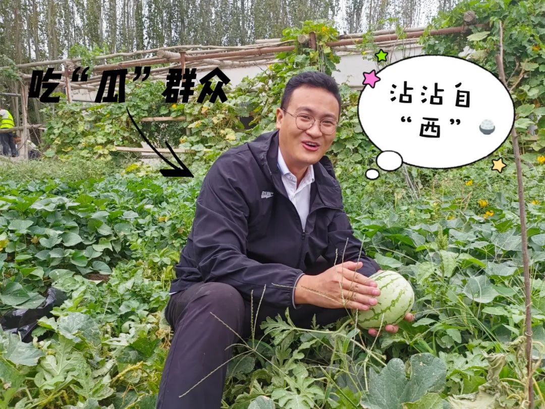 20241028114353228139