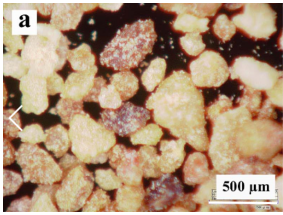 20241202110358634922