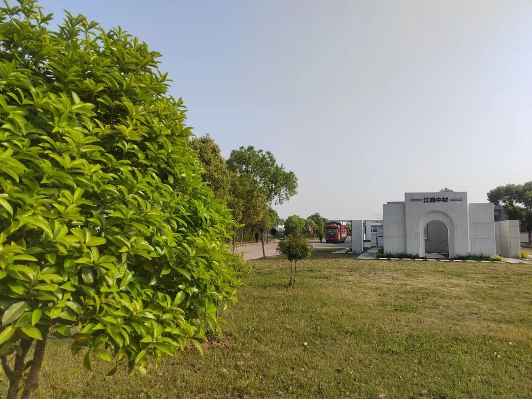 20250407094957401517