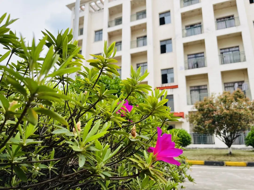 20250414093526669915