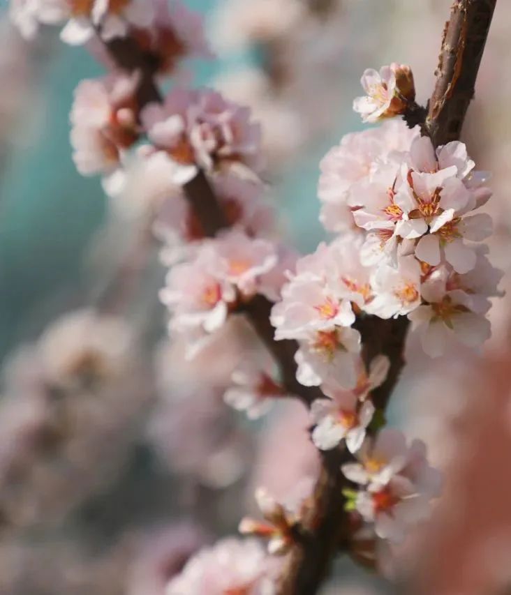 20250421100319146319