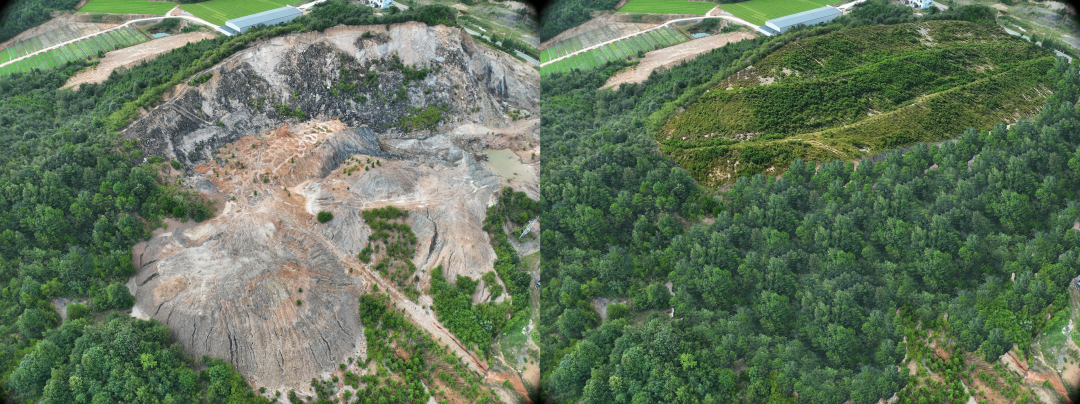 20250606091259818212