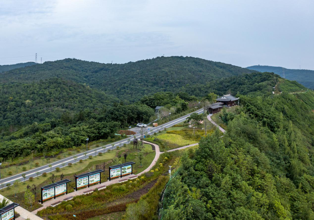 20260107134349270211